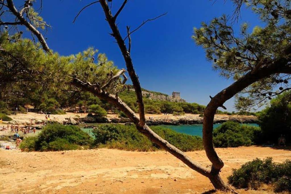 Cottage A 5 Minuti Dal Mare Nardò المظهر الخارجي الصورة